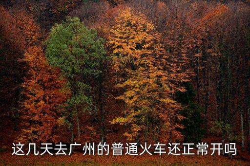 這幾天去廣州的普通火車還正常開嗎