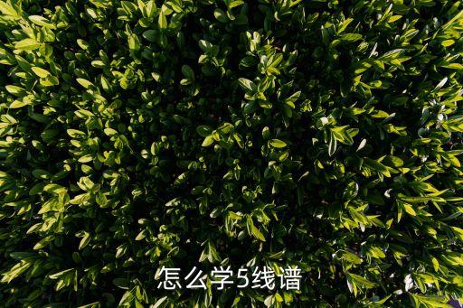 五線譜入門學習，初學者如何學習五線譜