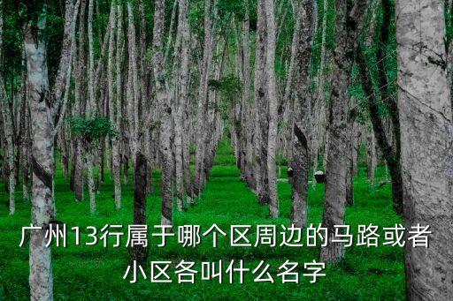 廣州13行屬于哪個區(qū)周邊的馬路或者小區(qū)各叫什么名字