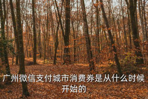 廣州微信支付城市消費(fèi)券是從什么時(shí)候開始的