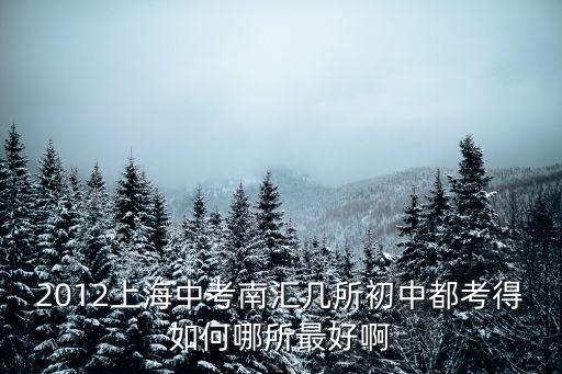 2012上海中考南匯幾所初中都考得如何哪所最好啊