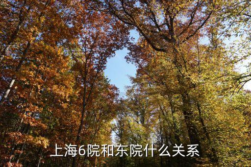 上海市浦東六院東院官網，上海第六人民醫院怎么網上掛號