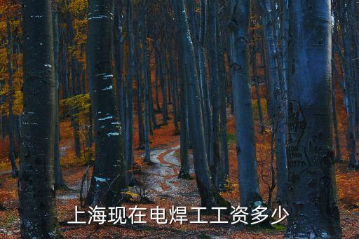 上海現(xiàn)在電焊工工資多少