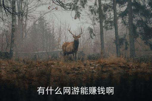 能賺錢的網(wǎng)游，什么網(wǎng)游能賺錢