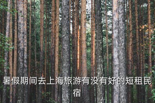 上海市閑置房發展民宿，暑假期間去上海旅游有沒有好的短租民宿