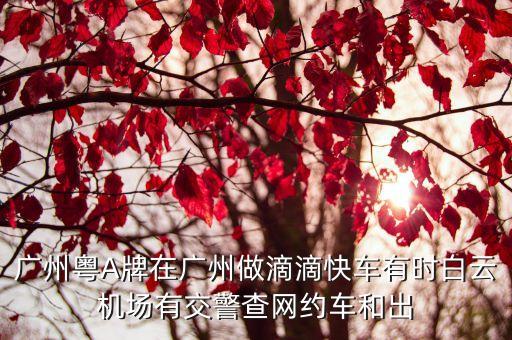 廣州網約快車，廣州現有的幾個網約車平臺哪個便宜點