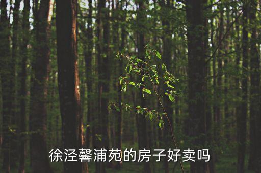 徐涇馨浦苑的房子好賣嗎