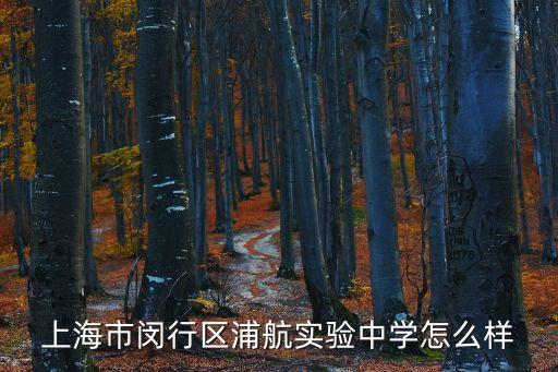 上海市浦江鎮(zhèn)浦航中學(xué)，上海浦江有招收外地的初中學(xué)生的學(xué)校么