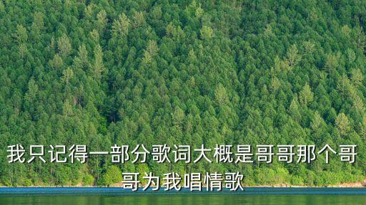 我為情哥唱情歌，我只記得一部分歌詞大概是哥哥那個哥哥為我唱情歌