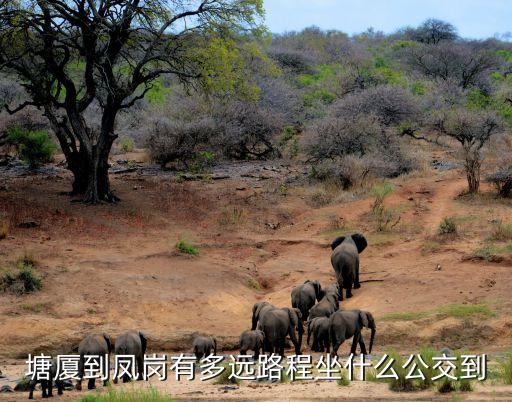 廣州塘廈離鳳崗遠嗎，鳳崗在哪里離塘夏遠嗎