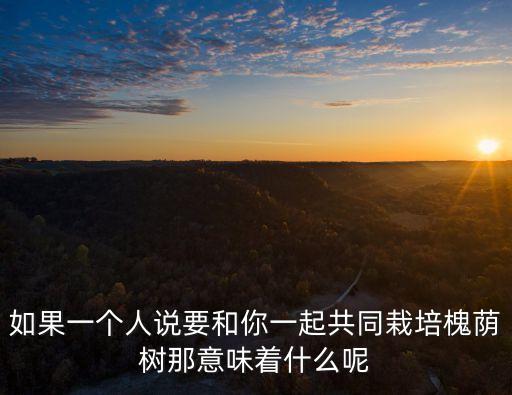 槐蔭樹，如果一個(gè)人說要和你一起共同栽培槐蔭樹那意味著什么呢