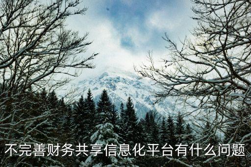 上海市財政平臺癱瘓，不完善財務共享信息化平臺有什么問題