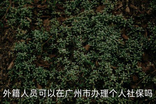 廣州外籍人士保障，廣州外來人口綜合保險查詢