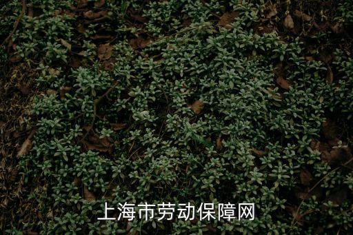 上海市勞動保障網(wǎng)