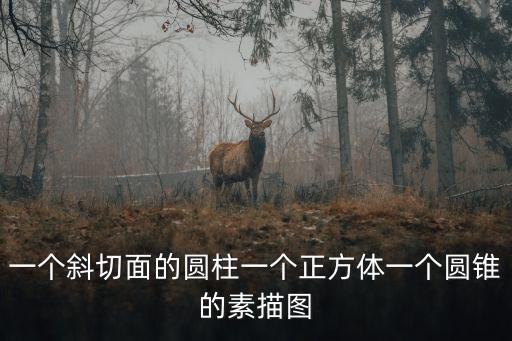 一個斜切面的圓柱一個正方體一個圓錐的素描圖