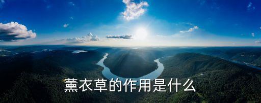 薰衣草的作用是什么