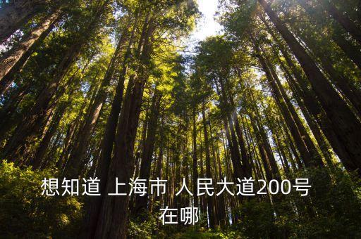 想知道 上海市 人民大道200號(hào) 在哪