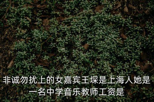 非誠勿擾上的女嘉賓王堔是上海人她是一名中學音樂教師工資是