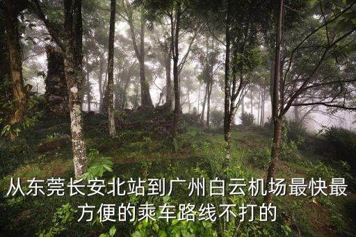 長安到廣州的機(jī)場快線，長安廈邊如何坐車到廣州白云機(jī)場