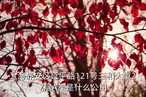 上海靜安區延平路121號三和大廈27層A座是什么公司