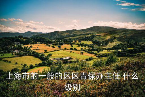 上海市醫(yī)保局處長(zhǎng)是什么級(jí)別，上海市的一般的區(qū)區(qū)青保辦主任 什么級(jí)別