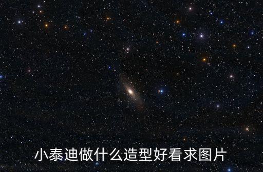小泰迪做什么造型好看求圖片