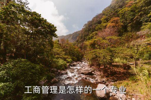 工商管理是怎樣的一個專業(yè)