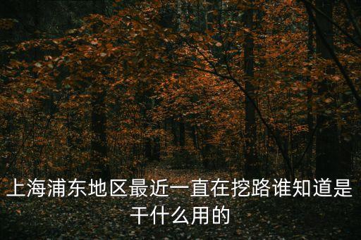 上海浦東地區最近一直在挖路誰知道是干什么用的
