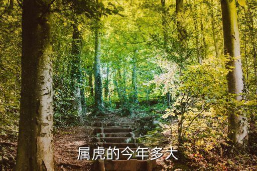 屬虎的今年多大