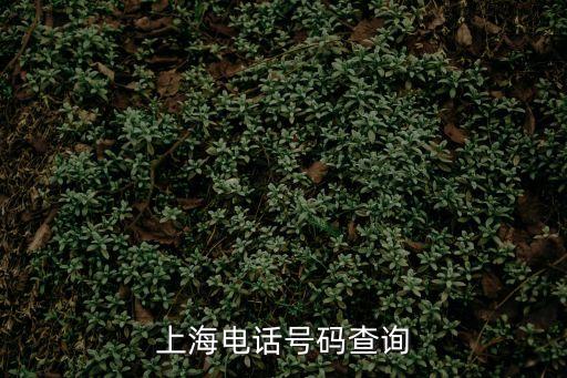 上海電話號碼查詢