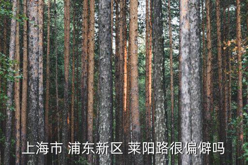 上海市 浦東新區 萊陽路很偏僻嗎
