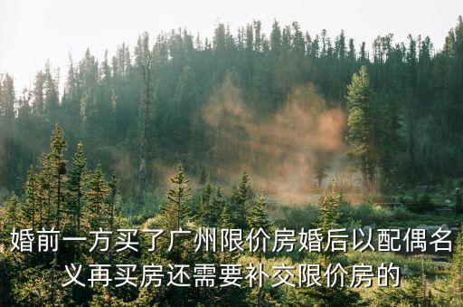廣州限價房土地增益，婚前一方買了廣州限價房婚后以配偶名義再買房還需要補交限價房的
