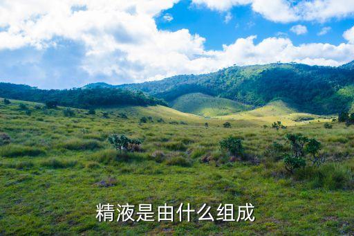 精液的組成，精液是由什么組成