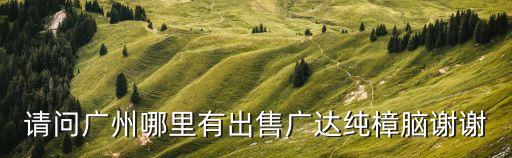 請問廣州哪里有出售廣達純樟腦謝謝