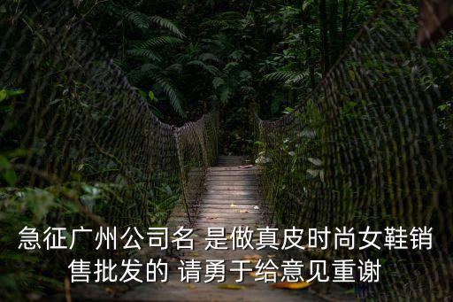急征廣州公司名 是做真皮時(shí)尚女鞋銷售批發(fā)的 請(qǐng)勇于給意見重謝