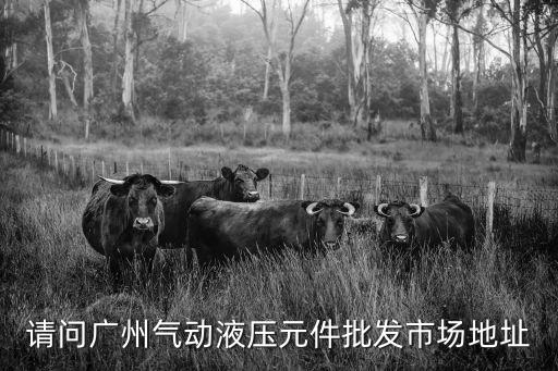 請問廣州氣動液壓元件批發市場地址