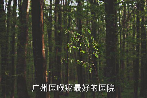 廣州中山腫瘤醫(yī)院 喉癌，廣州醫(yī)喉癌最好的醫(yī)院