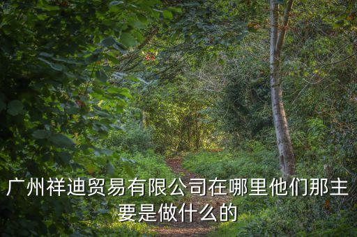 廣州祥迪貿易有限公司在哪里他們那主要是做什么的
