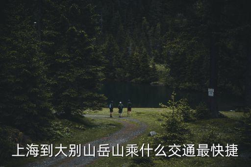 上海市到大別山游玩從哪開始，上海去大別山風景區怎么坐車急求