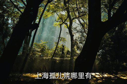 上海市有幾個孤兒院，上海哪有孤兒院具體位置詳細