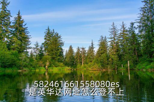 上海市英華達網(wǎng)址，上海英華達有限公司