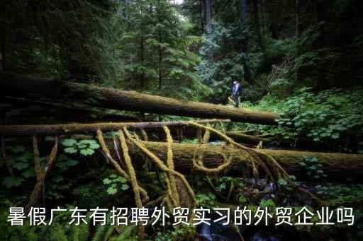 暑假?gòu)V東有招聘外貿(mào)實(shí)習(xí)的外貿(mào)企業(yè)嗎