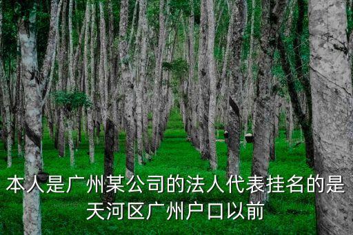廣州法人陳歡，本人是廣州某公司的法人代表掛名的是天河區(qū)廣州戶口以前