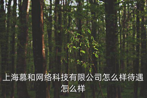 上海慕和網絡科技有限公司怎么樣待遇怎么樣