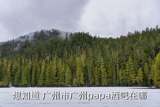 廣州販毒酒吧，想知道 廣州市廣州papa酒吧在哪