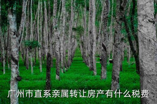 直系親屬廣州市住房過戶，廣州直系親屬房產(chǎn)過戶費(fèi)用怎么算