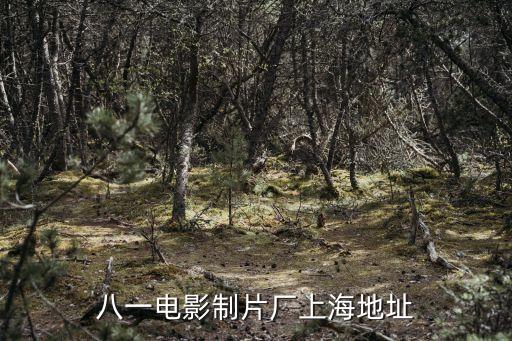 上海市五原路永福路一號，請問上海莫奈酒店MOTEL
