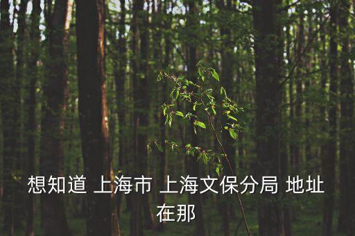 上海市文旅局的上級主管部門，想知道 上海市 上海文保分局 地址在那