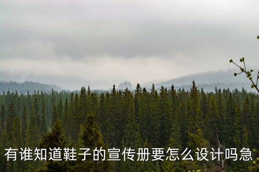 有誰知道鞋子的宣傳冊(cè)要怎么設(shè)計(jì)嗎急