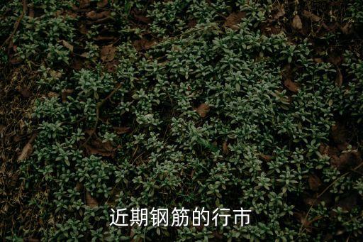2020年3月10日廣州土拍，低于三家導致不能進行拍賣于是轉為掛牌在約十日后進行掛